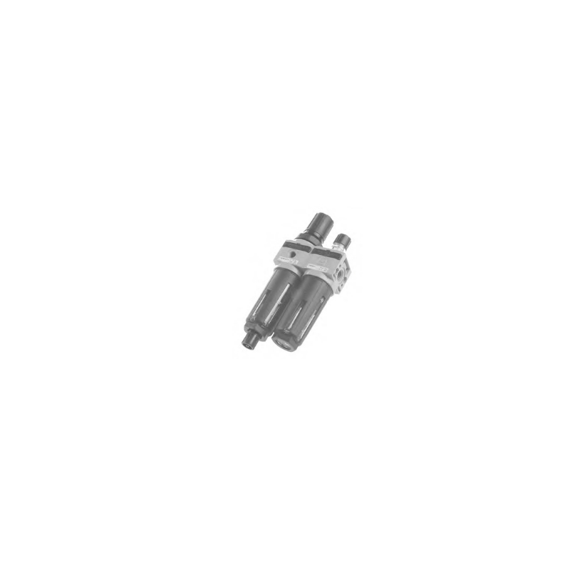 Filt-rid+lubri cod.17006A.A.A
