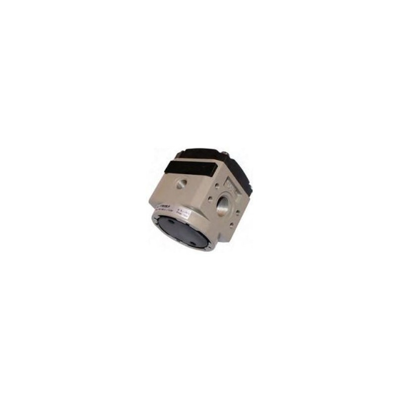 Riduttori pilotati cod.17302B.P