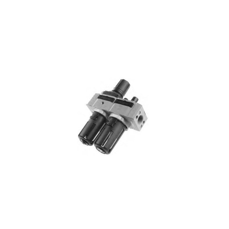 Filt-rid+lubri cod.17306E.B.A