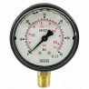 Manometro GR63 0/60 bar attacco rad G1/4serie LX